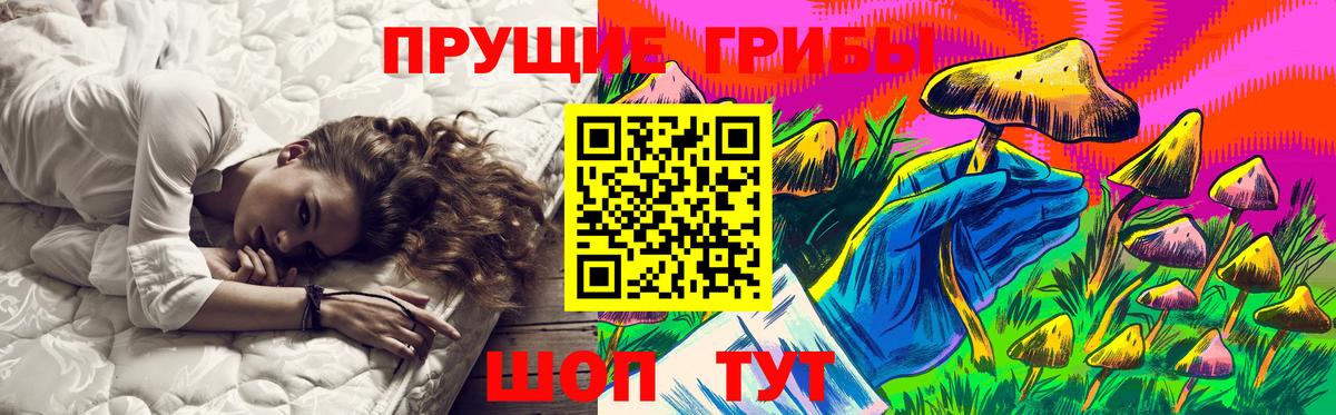Галлюциногенные грибы Cubensis  Вход с VPN  цены   Алексин 
