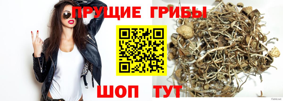 Псилоцибиновые грибы GOLDEN TEACHER Алексин